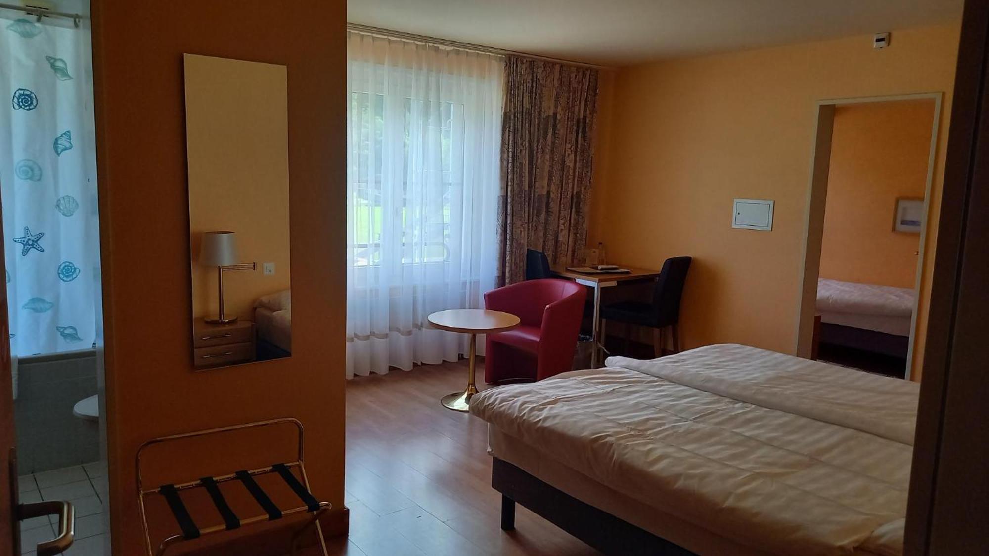 Hotel Le Cedre 3*