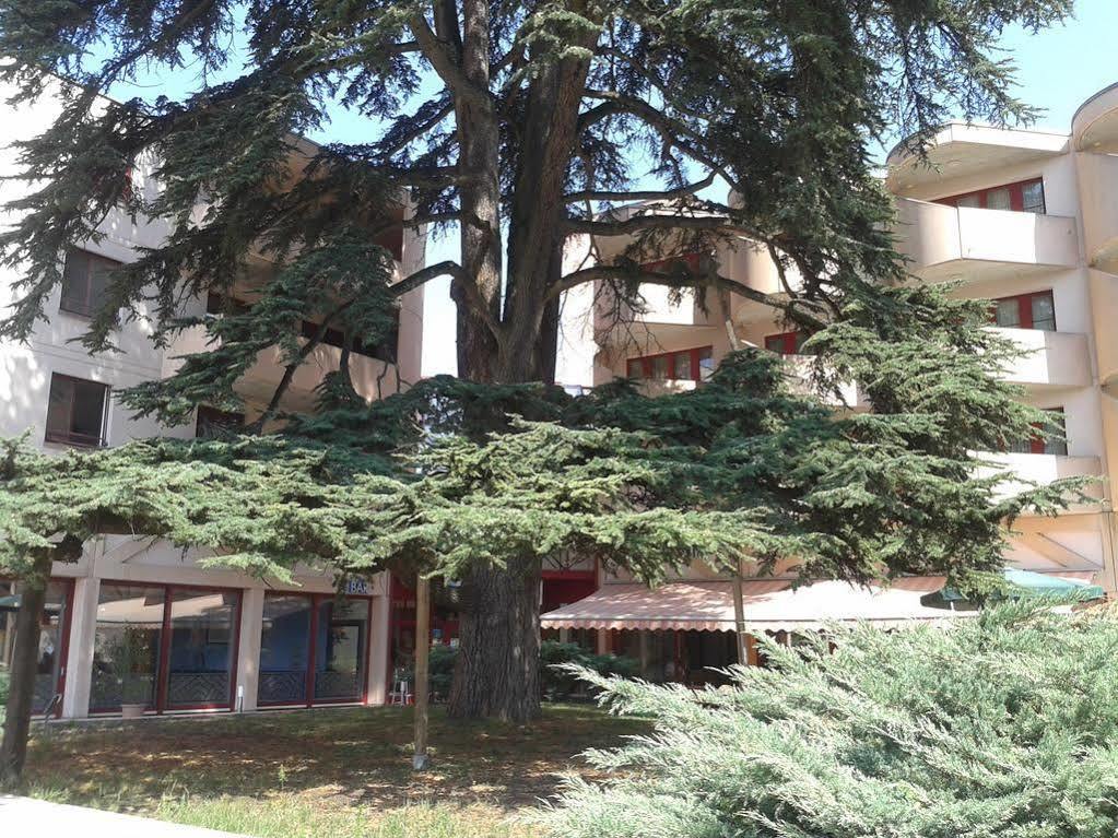 Le Cedre